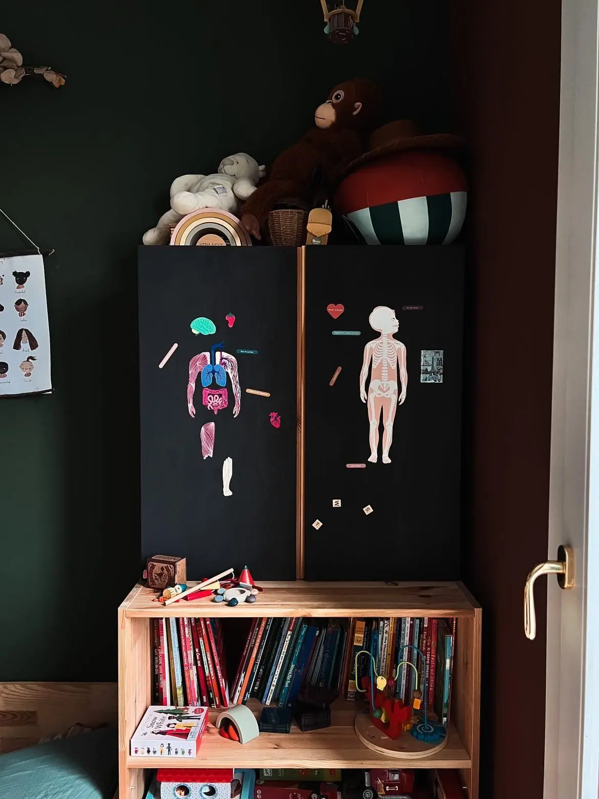 Gioco educativo magnetico - Il corpo umano