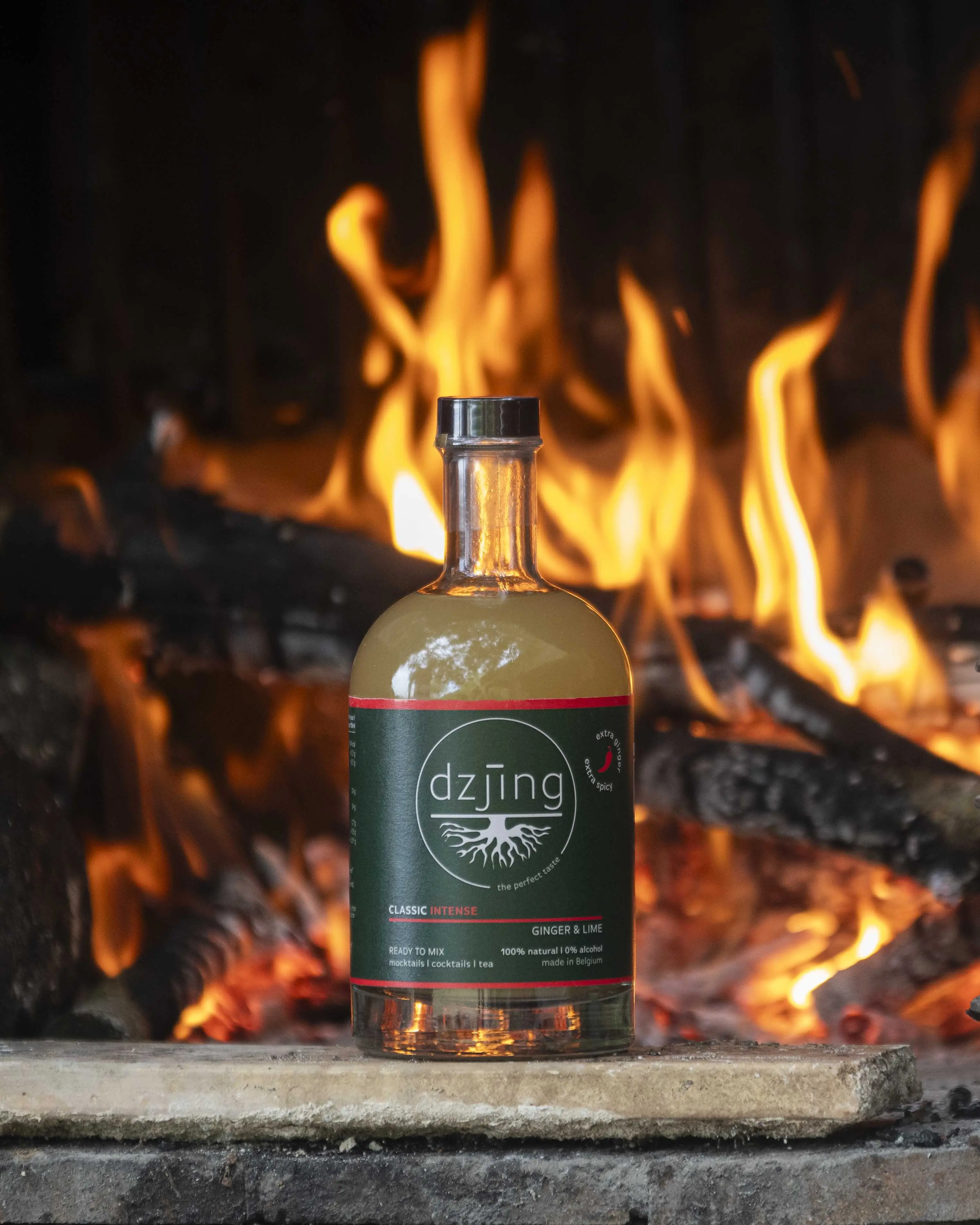 DZJING.Classic INTENSE 500ML (EXTRA INGWER, EXTRA SCHARF)