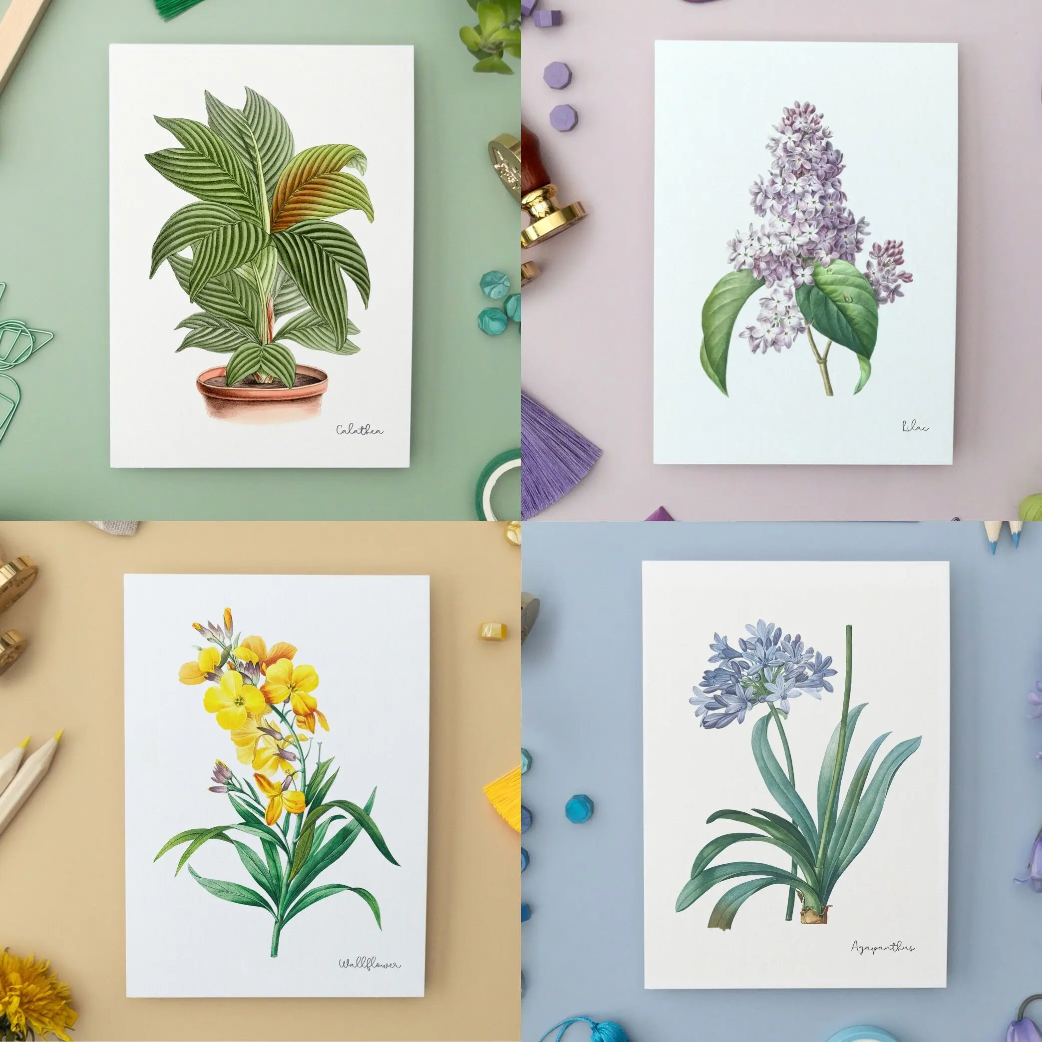 Handmade Postcard A6 with/out Envelope - Vintage Botanical