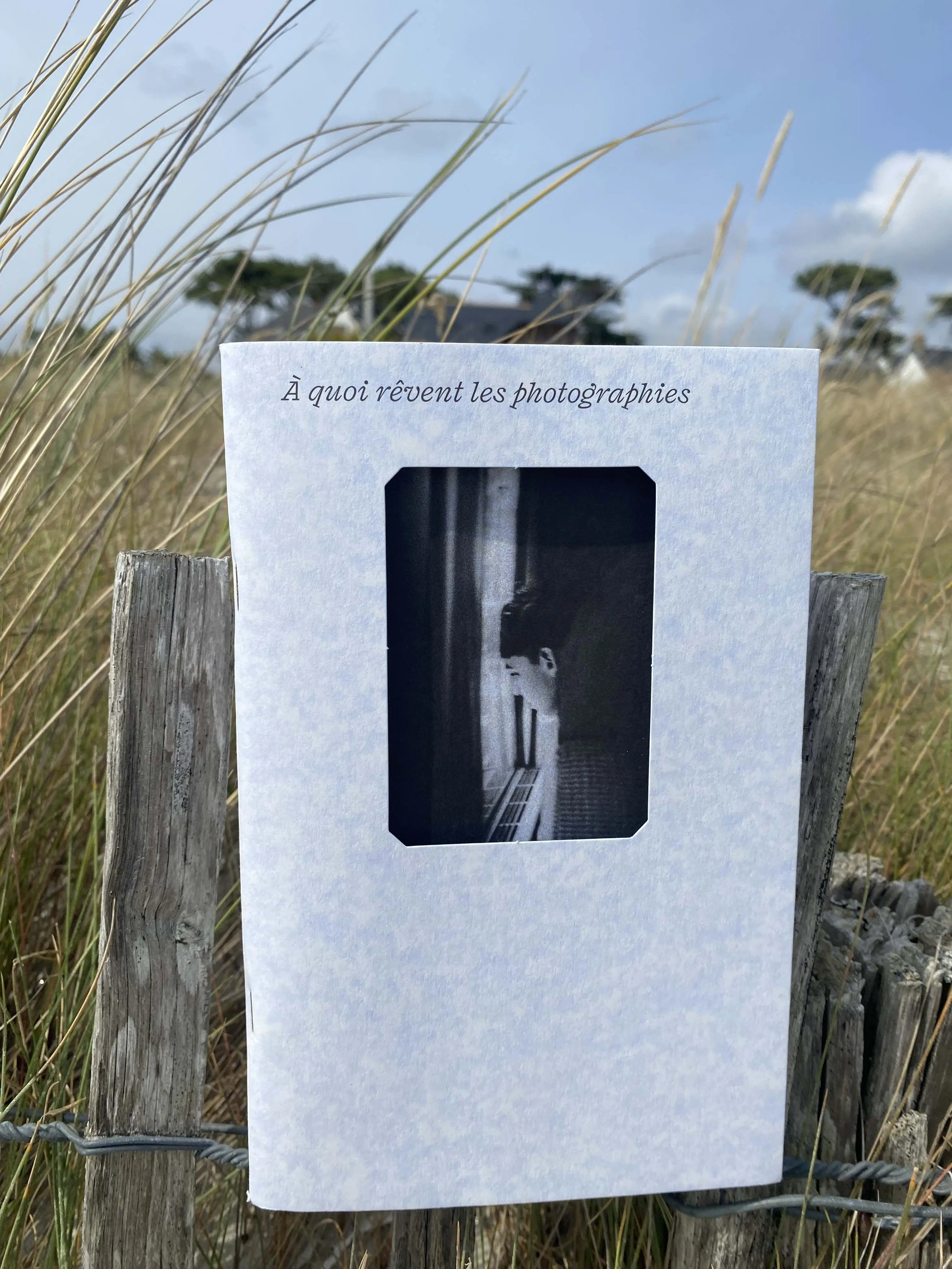 Notebook WHAT ARE THE PHOTOGRAPHS DREAMING OF