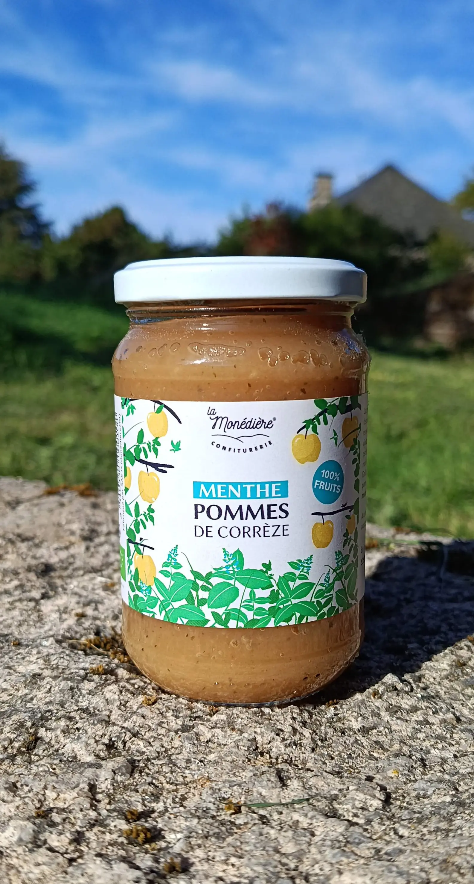 Minted Apple Puree 300g
