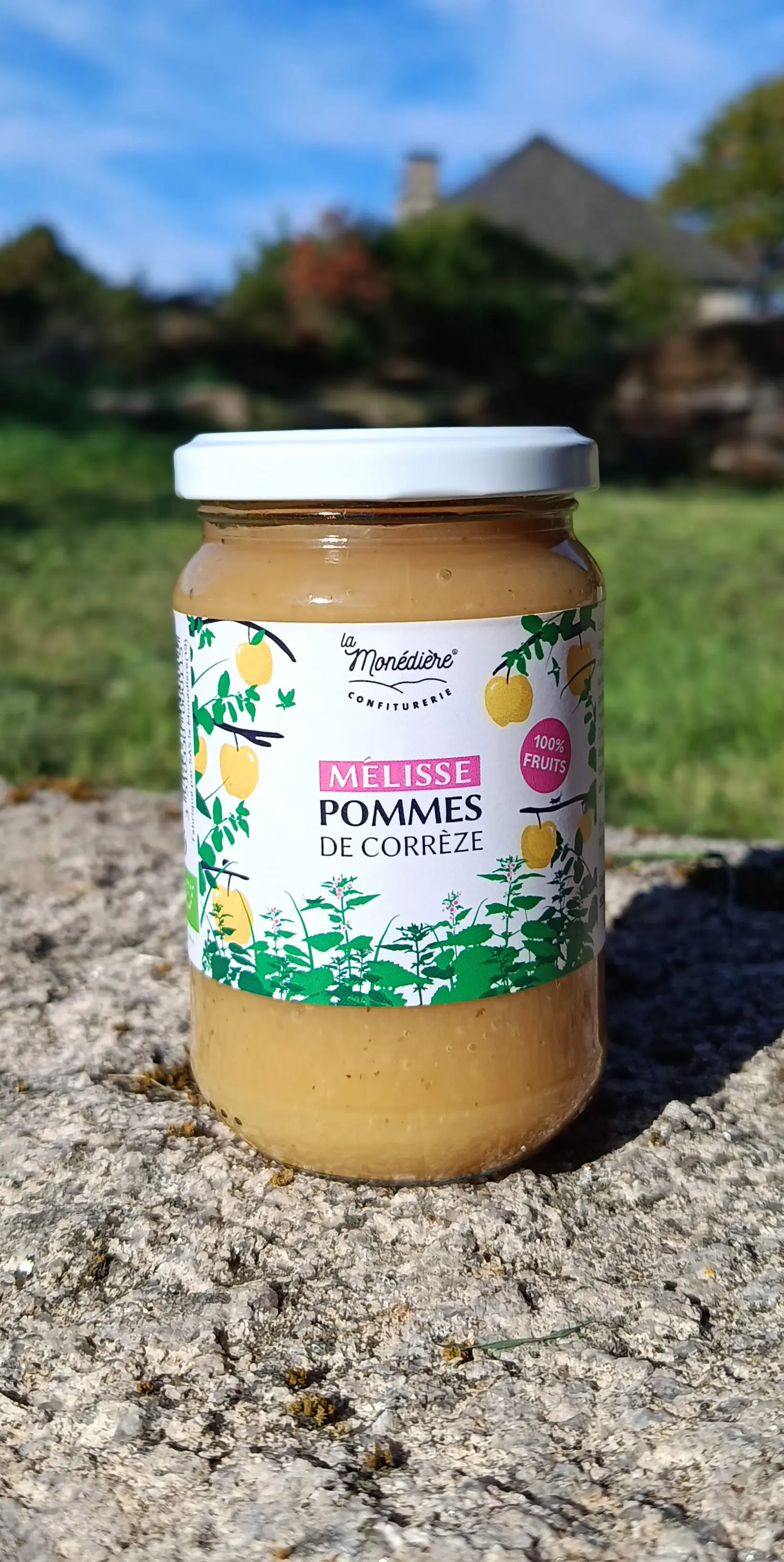 Apple and lemon balm puree 300g