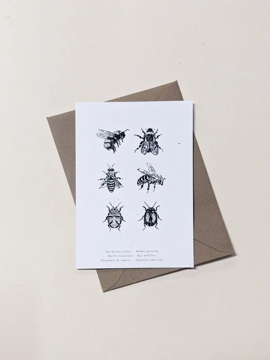 Insects Card