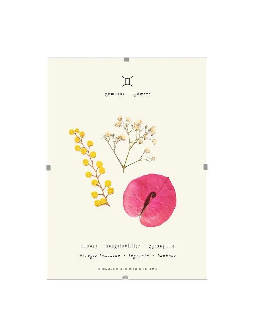 The Gemini herbarium