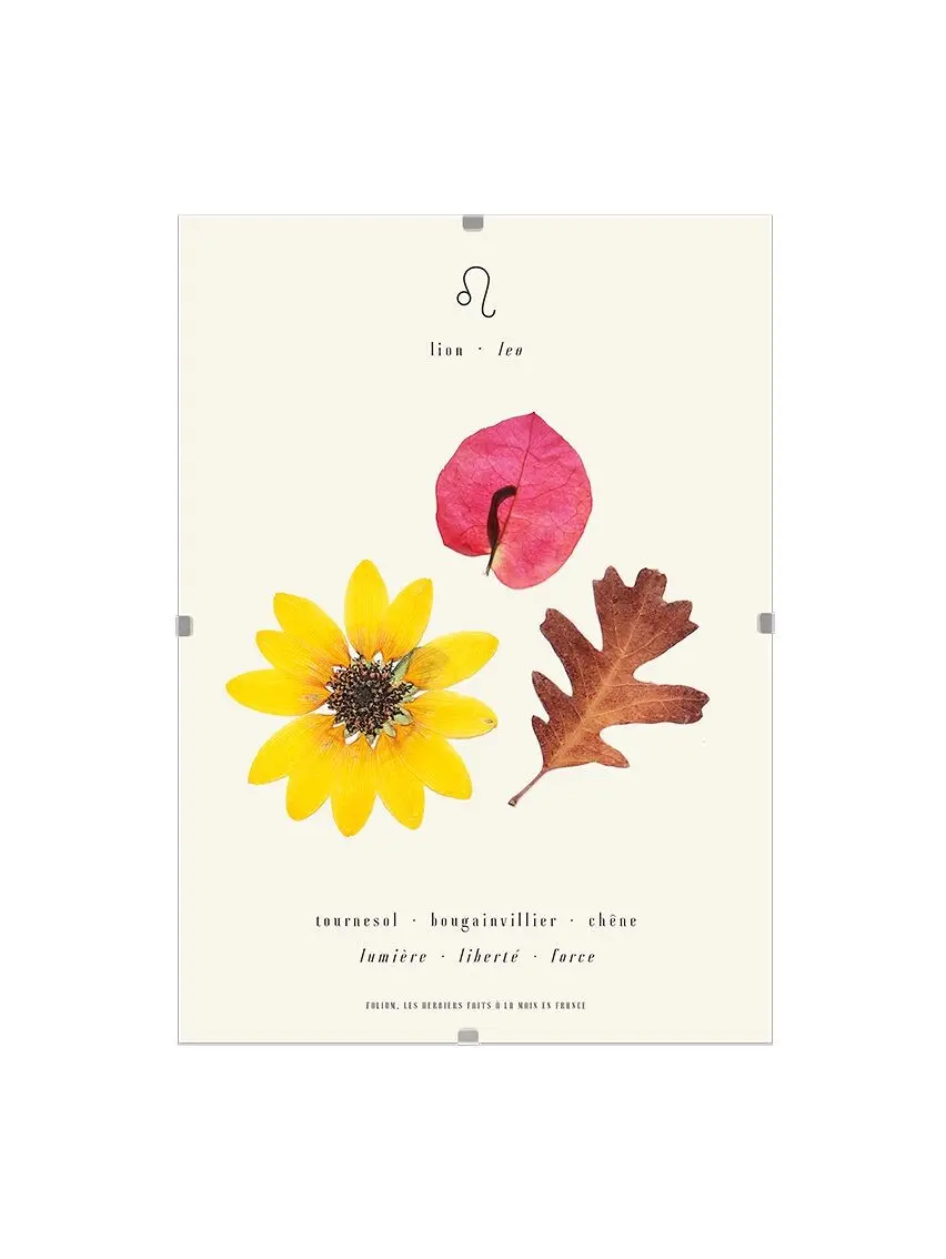 The lion herbarium