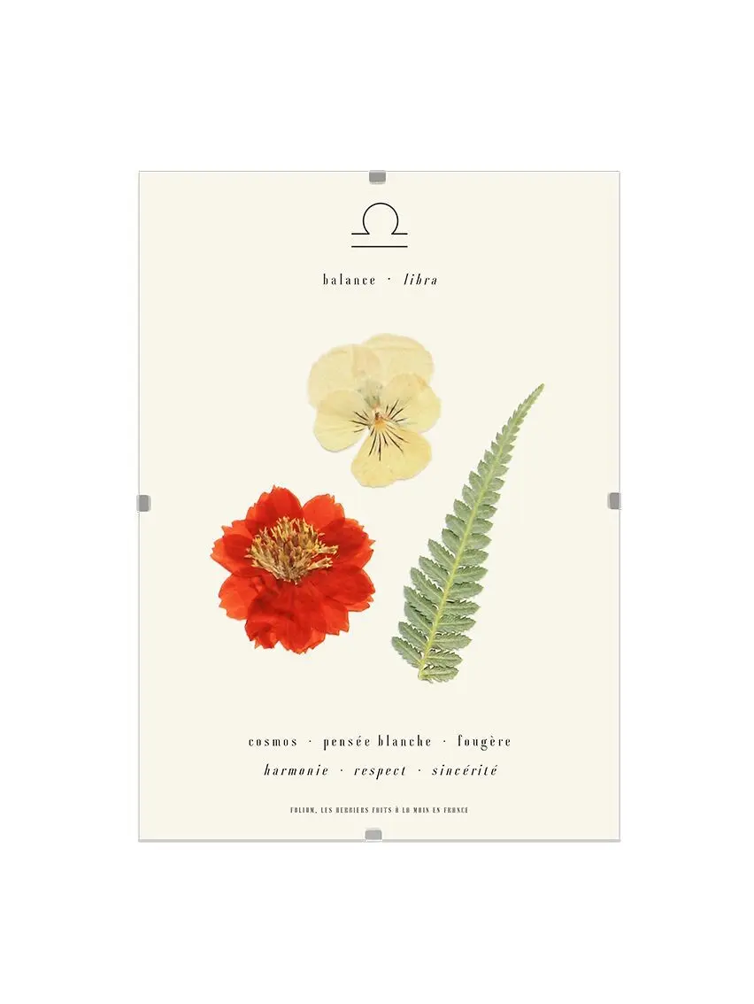 The herbarium balances