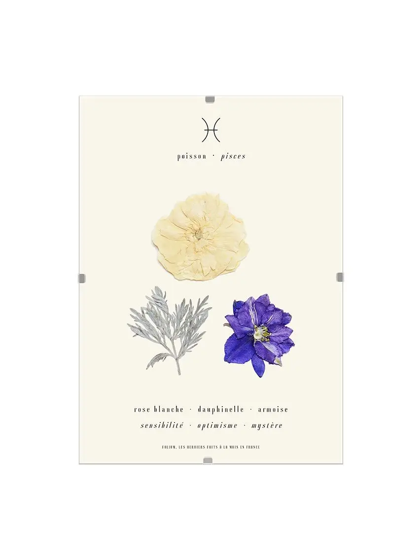 The fish herbarium