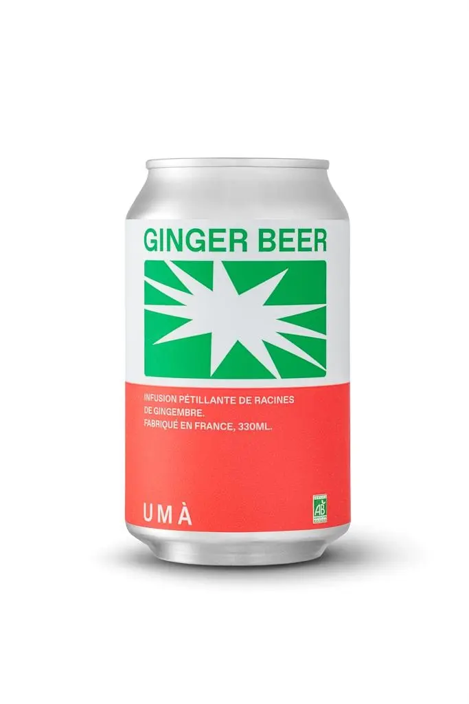 Bio-Ingwerbier – 12x33cl Dose