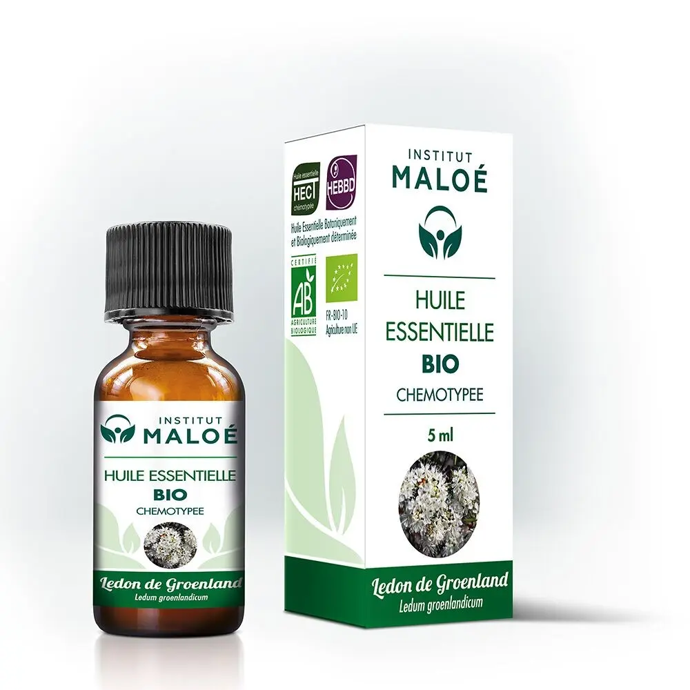 Aceite esencial de Ledon de Groenlandia orgánico - 5 ml
