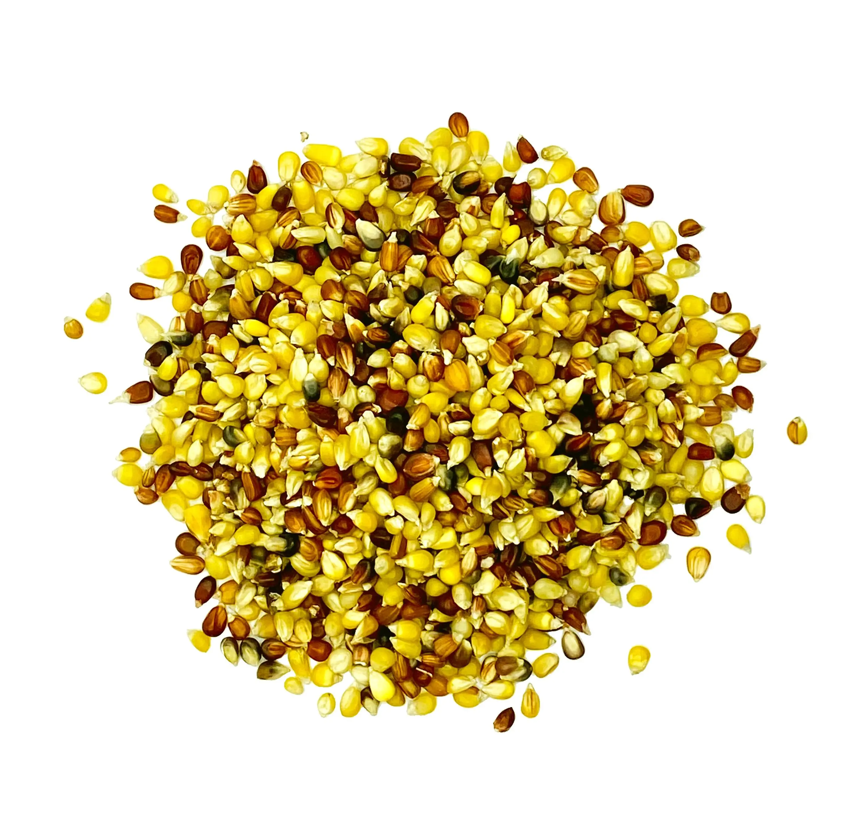 Popcorn – Mehrfarbig, 5 kg Großpackung – Glutenfrei