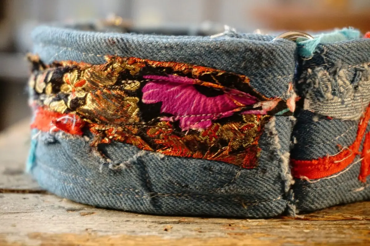 collar para perros