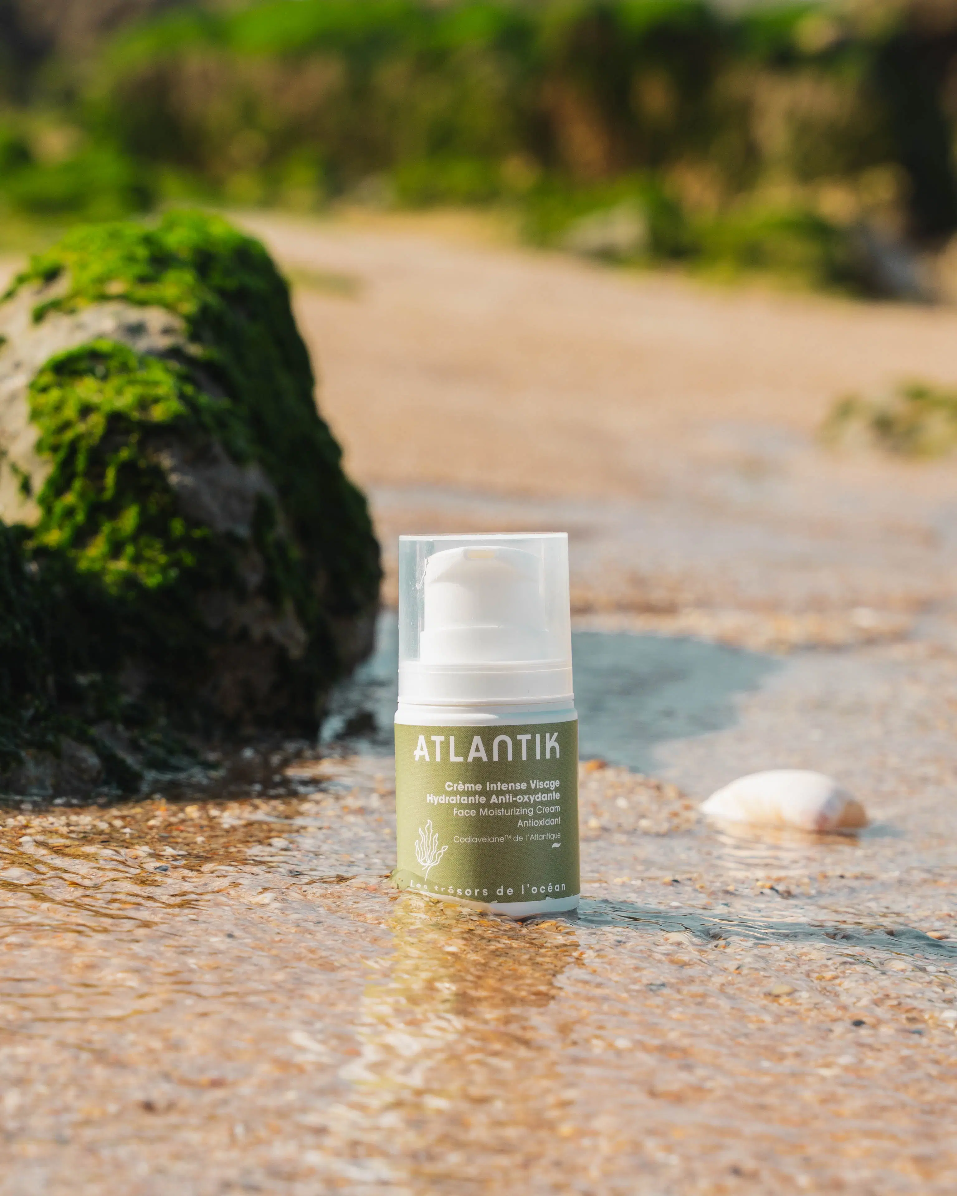 Intense Face Cream: Intense hydration and antioxidant effect, certified organic, Codium Algae