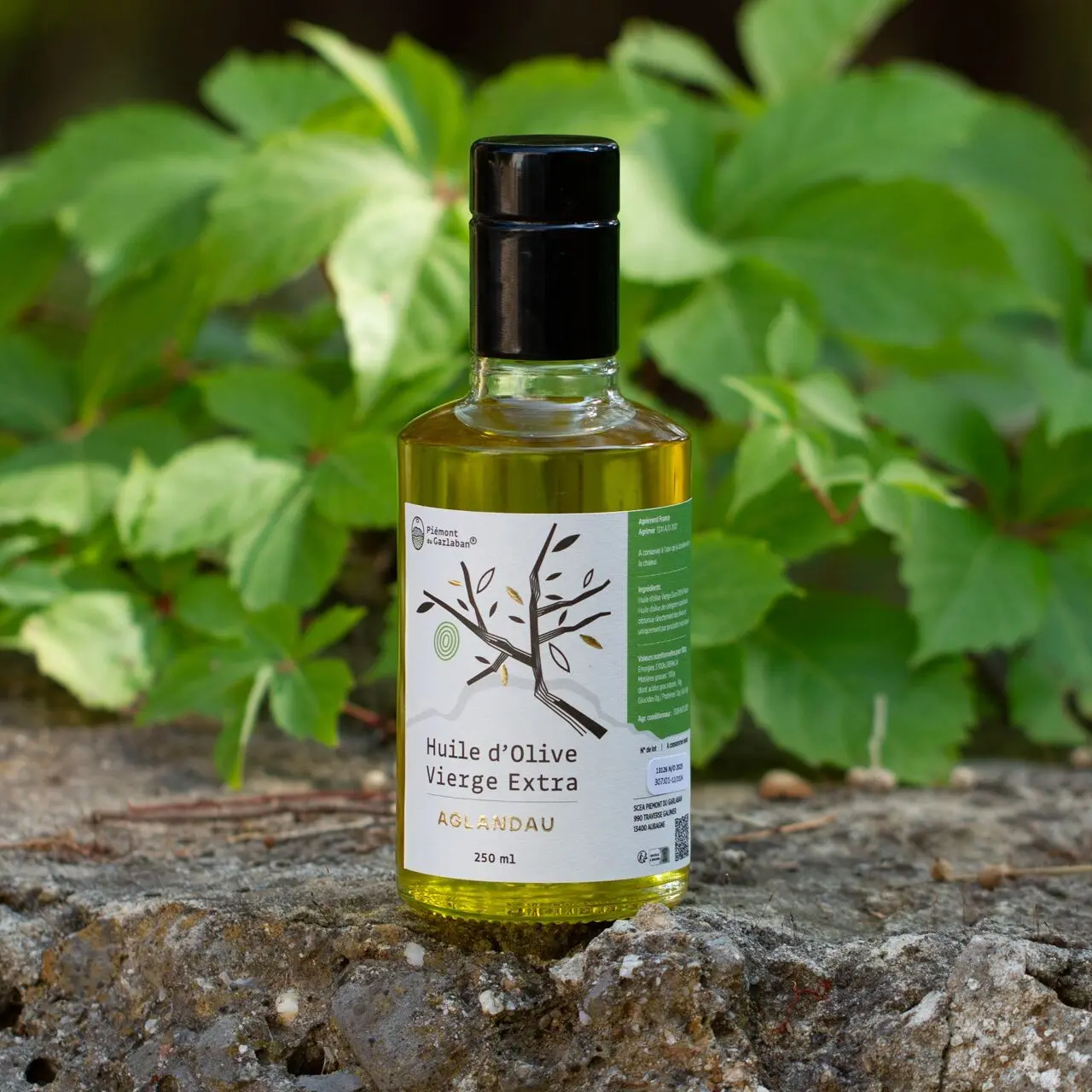 Aglandau olive oil - Green fruity - 25cL