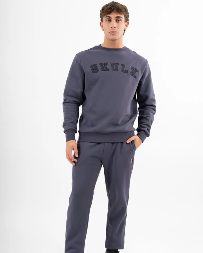 Sweatshirt Colegial Purple