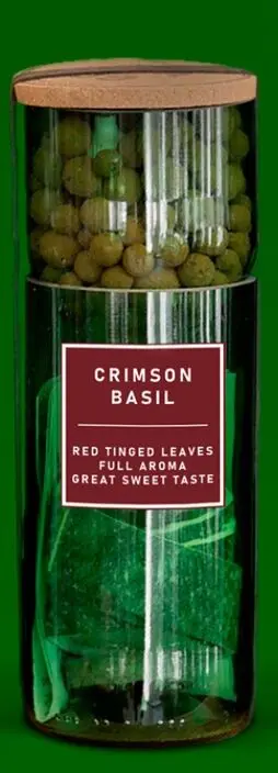 Crimson Basil Hydro Herb Kit.