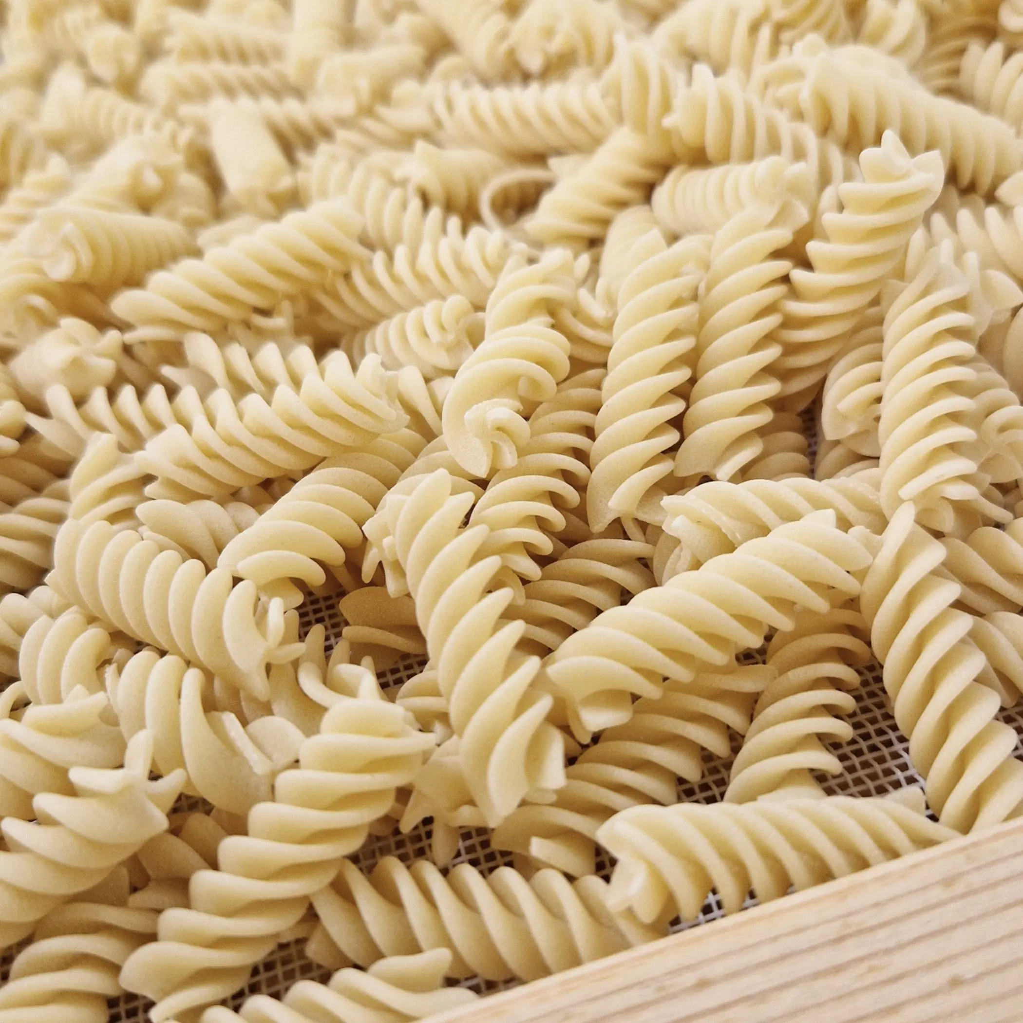 Organic pasta - 03 Fusilli (5kg bag)