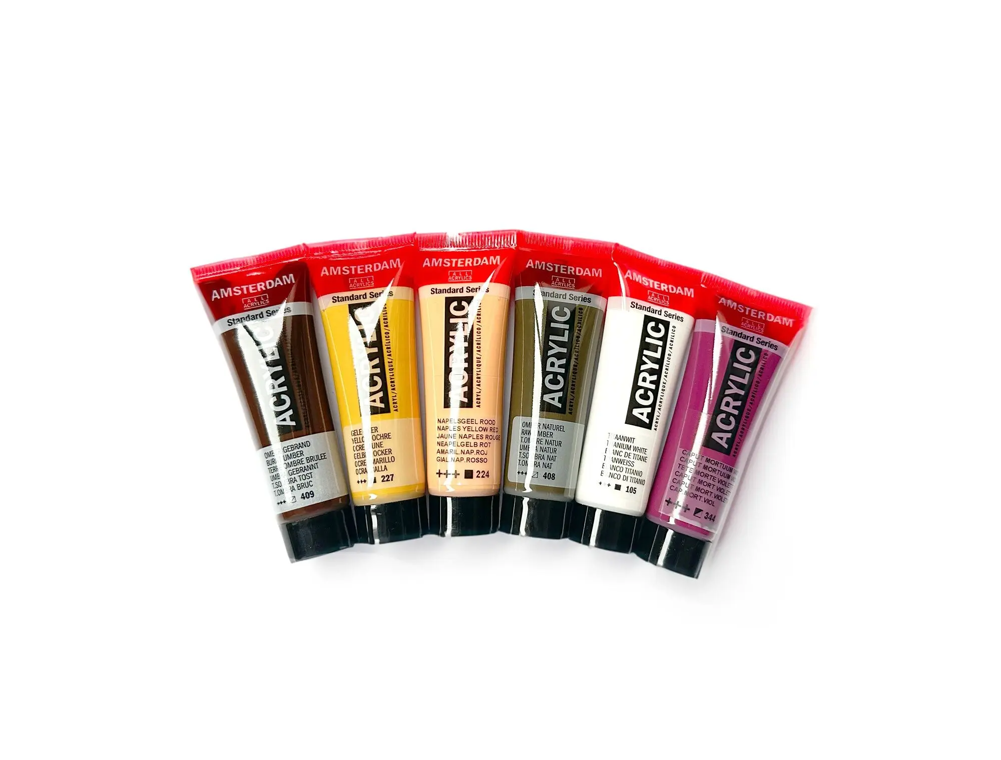 Royal Talens Amsterdam Series Acrylic Paint - Set  of 6 x 20ml - Portrait