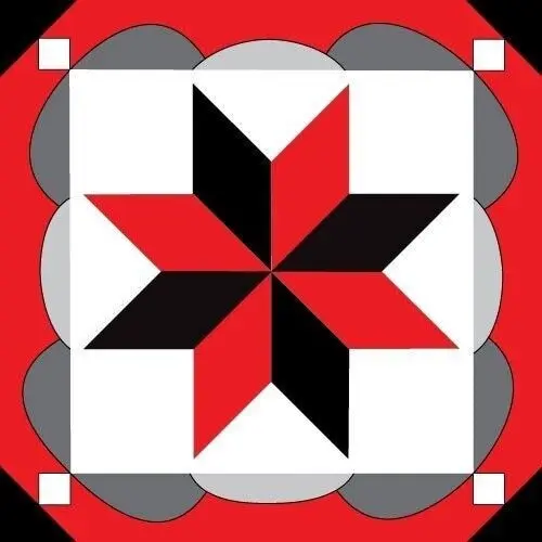 CLEANING SPONGE CC2BIS - RED STAR