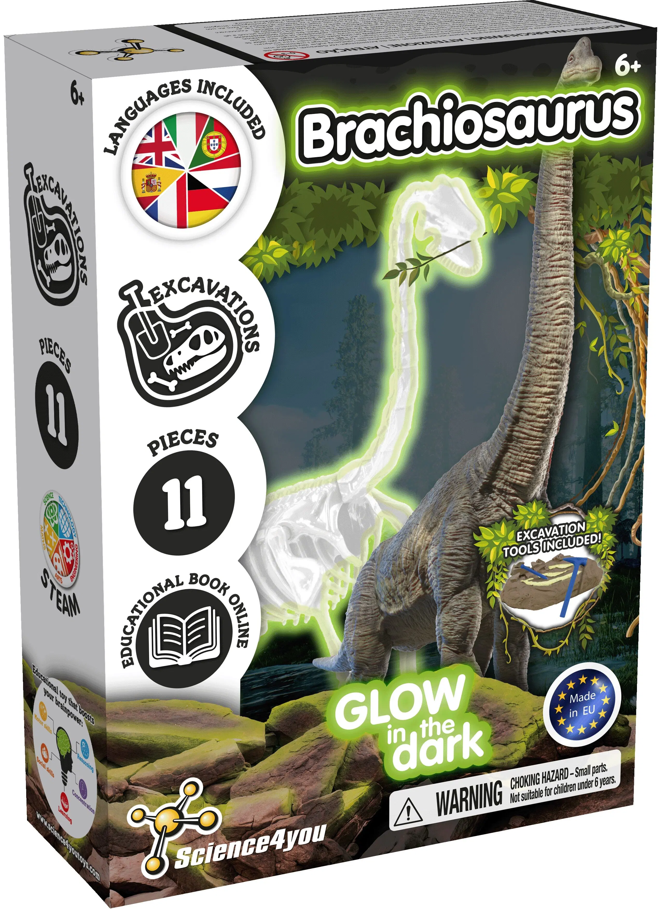 Fossil Excavations for Kids - Glow-in-the-dark Brachiosaurus