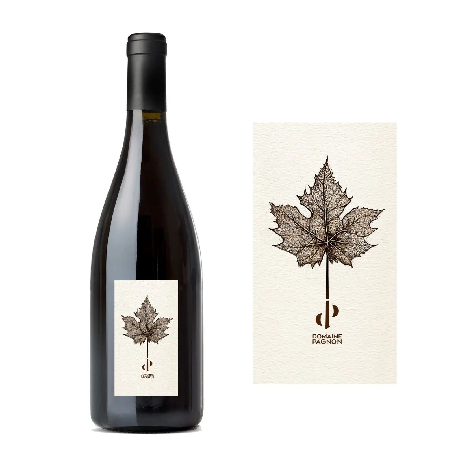 Vin rouge bio 2023 100% SYRAH