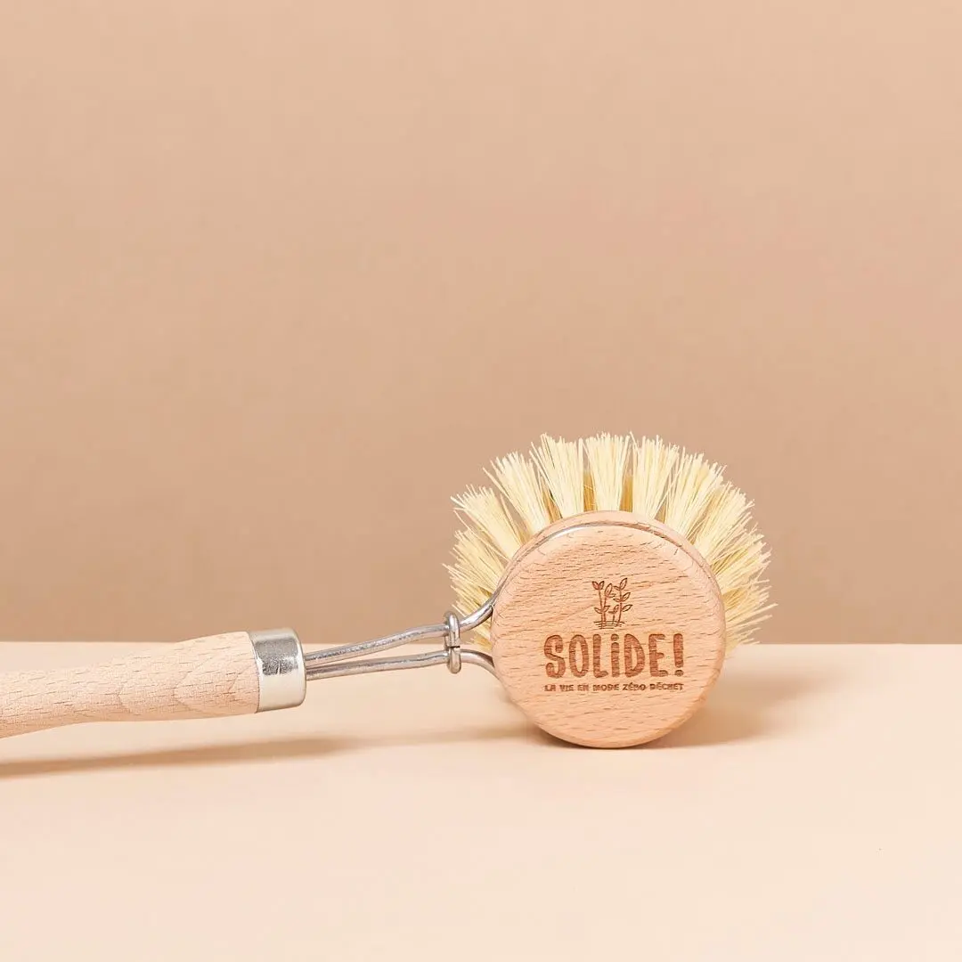 The wooden dish brush