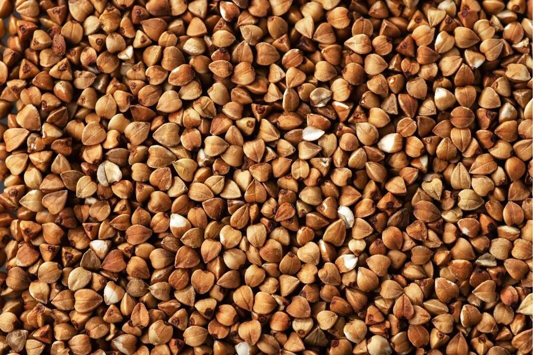 Bulk Organic Sobacha