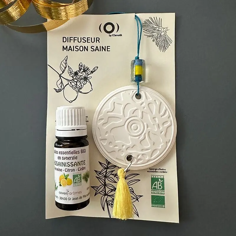 “Healthy Home” pouch (essential oils and home diffuser)