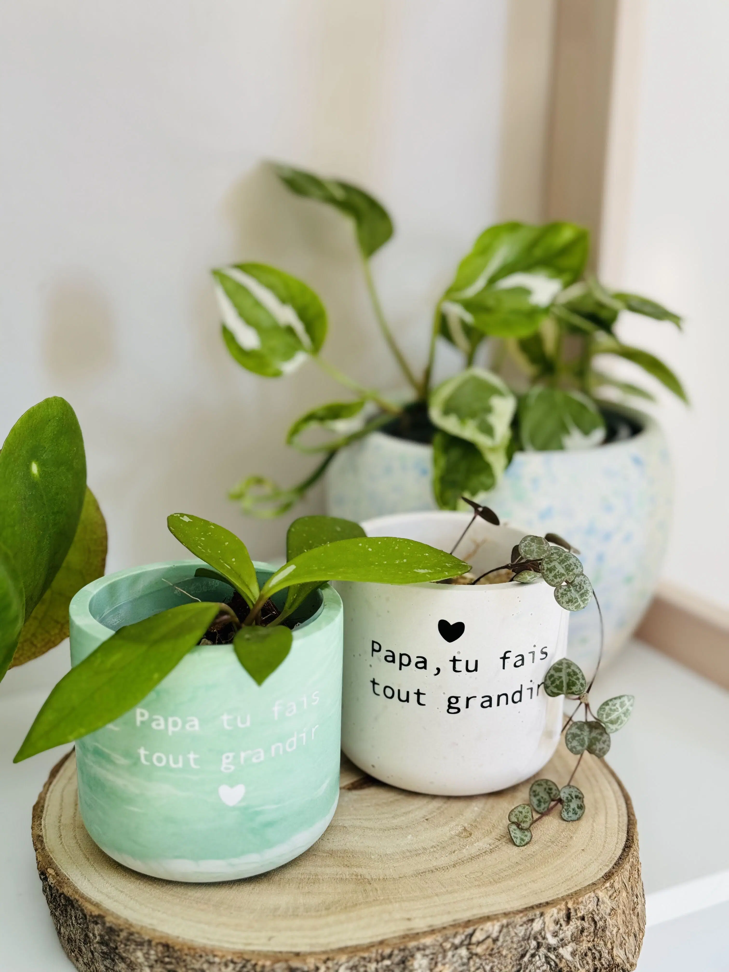 Father's Day Gift, Personalized Mini Jesmonite Pot, Dad Inscription