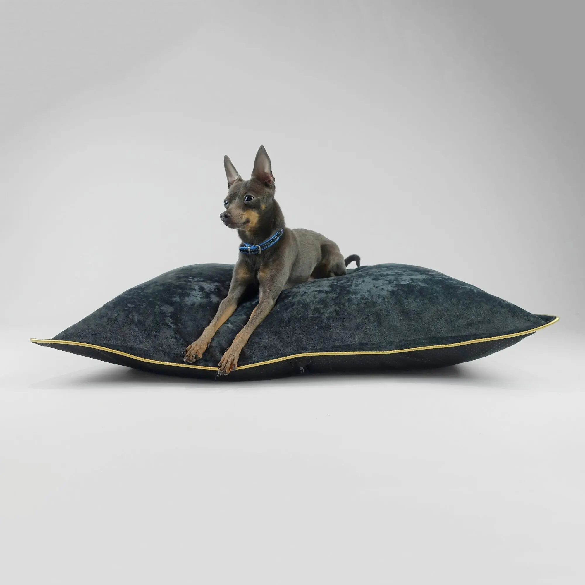 Hillfoot & Paws Handmade Dog Bed 'Scuff Tough' - Black Velvet
