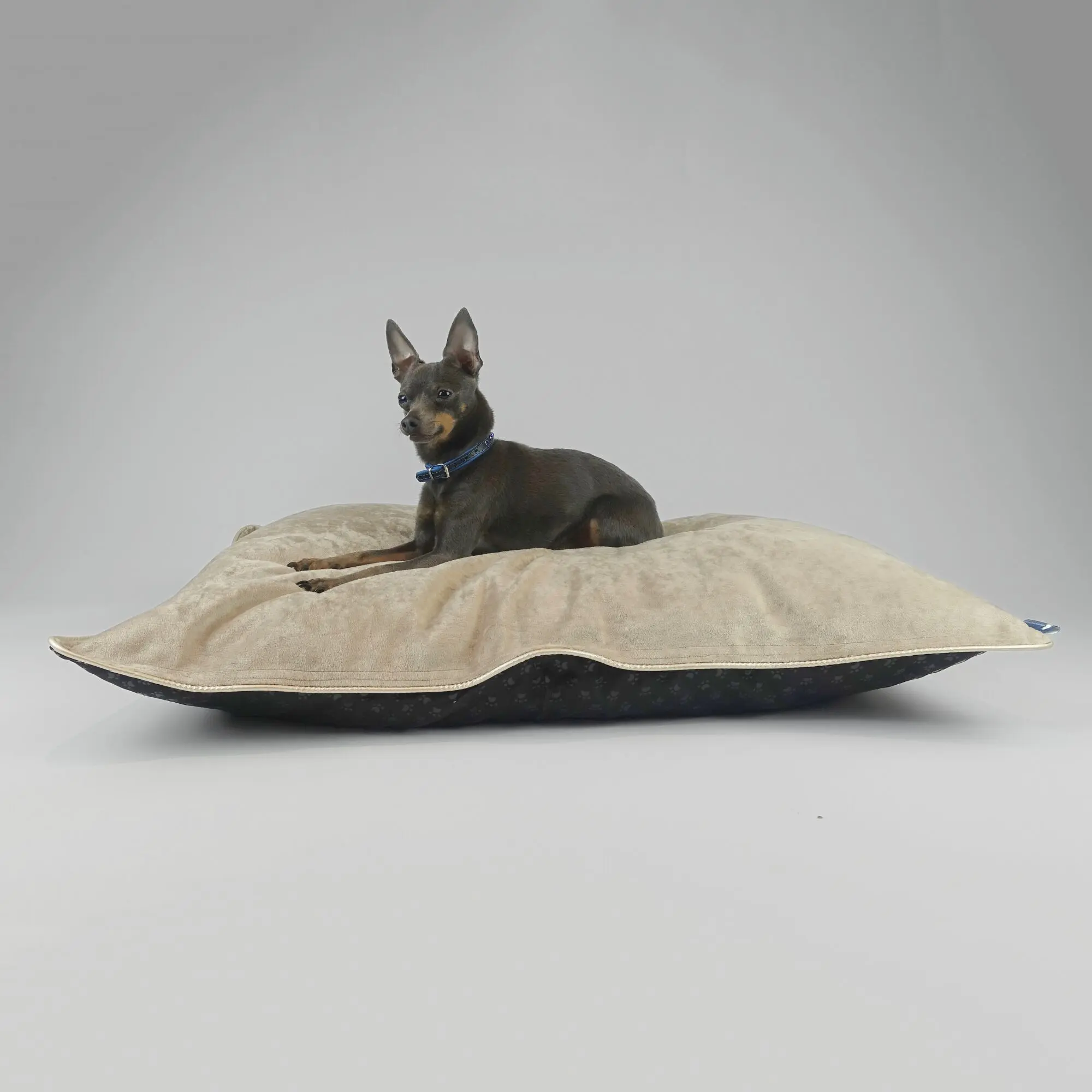 Hillfoot & Paws Handmade Dog Bed 'Scuff Tough' - Cream Velvet