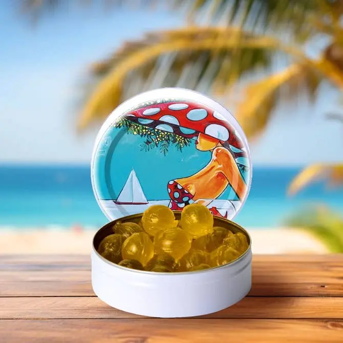 Bonbons Artisanaux | Saveur Menthe | Boîte 45g | Artiste François Groslière