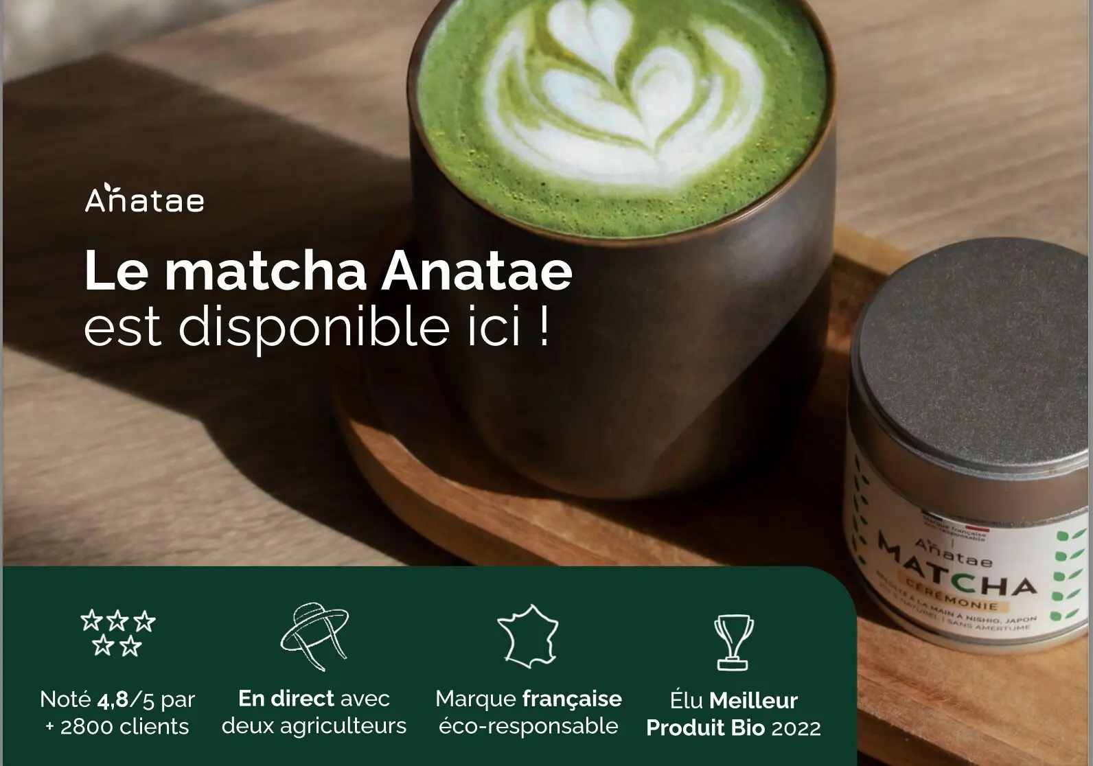 Flyer Anatae