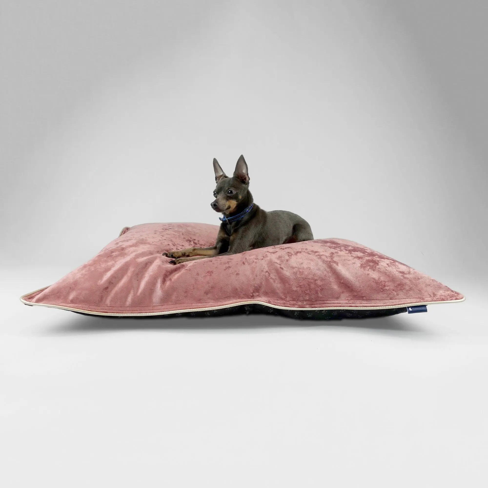 Hillfoot & Paws Handmade Dog Bed 'Scuff Tough' - Pink Velvet