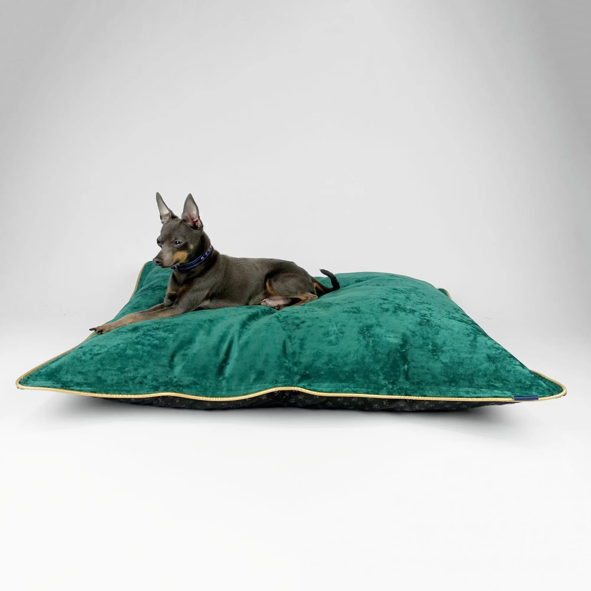 Hillfoot & Paws Handmade Dog Bed 'Scuff Tough' - Green Velvet