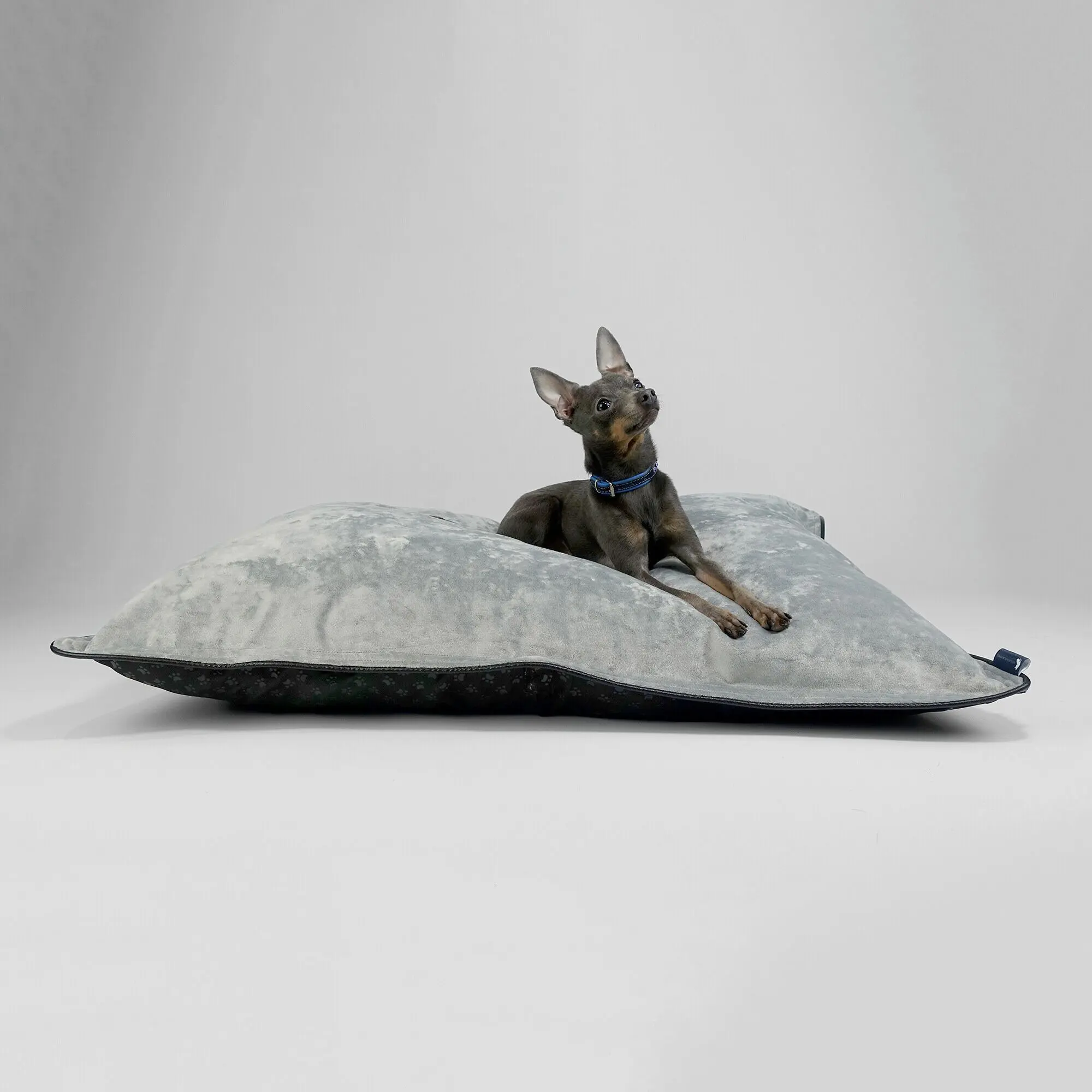 Hillfoot & Paws Handmade Dog Bed 'Scuff Tough' - Grey Velvet
