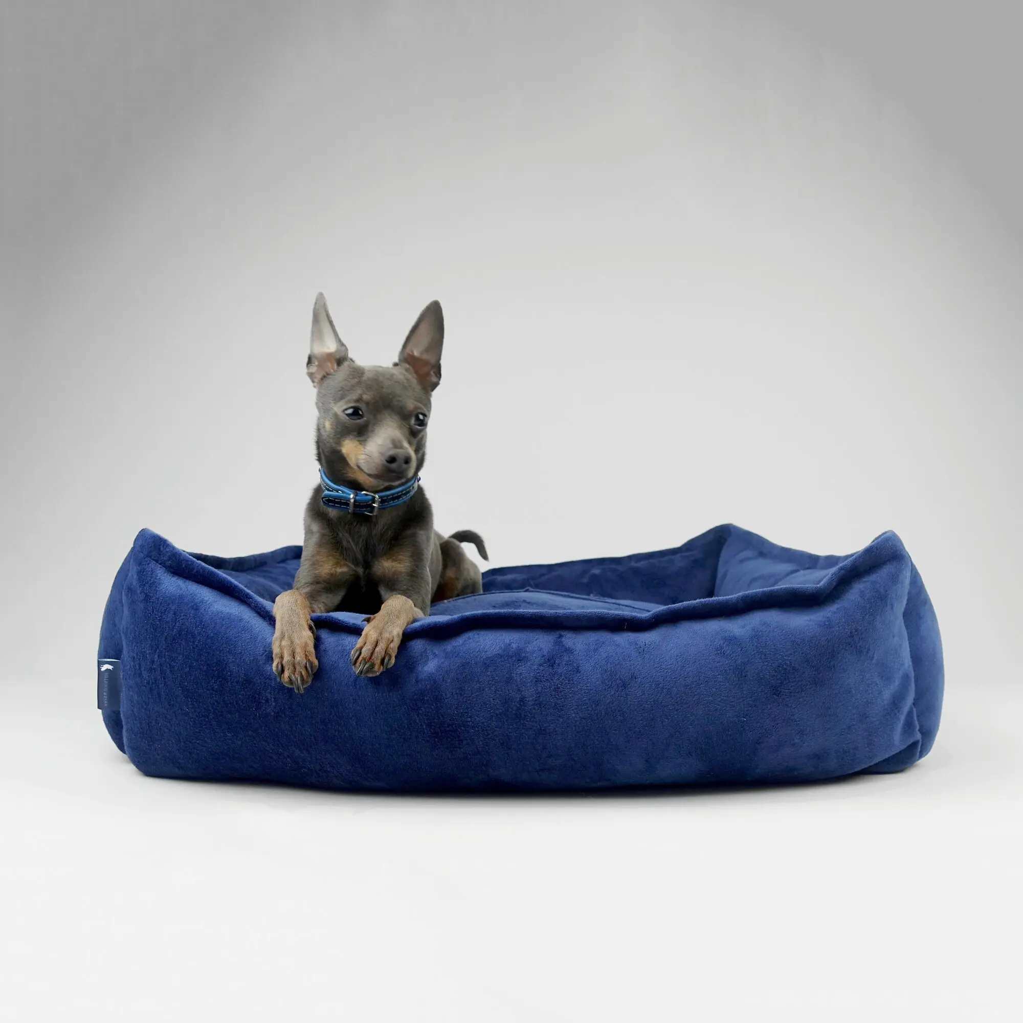 Hillfoot & Paws Handmade Dog Nest Bed - Blue Velvet