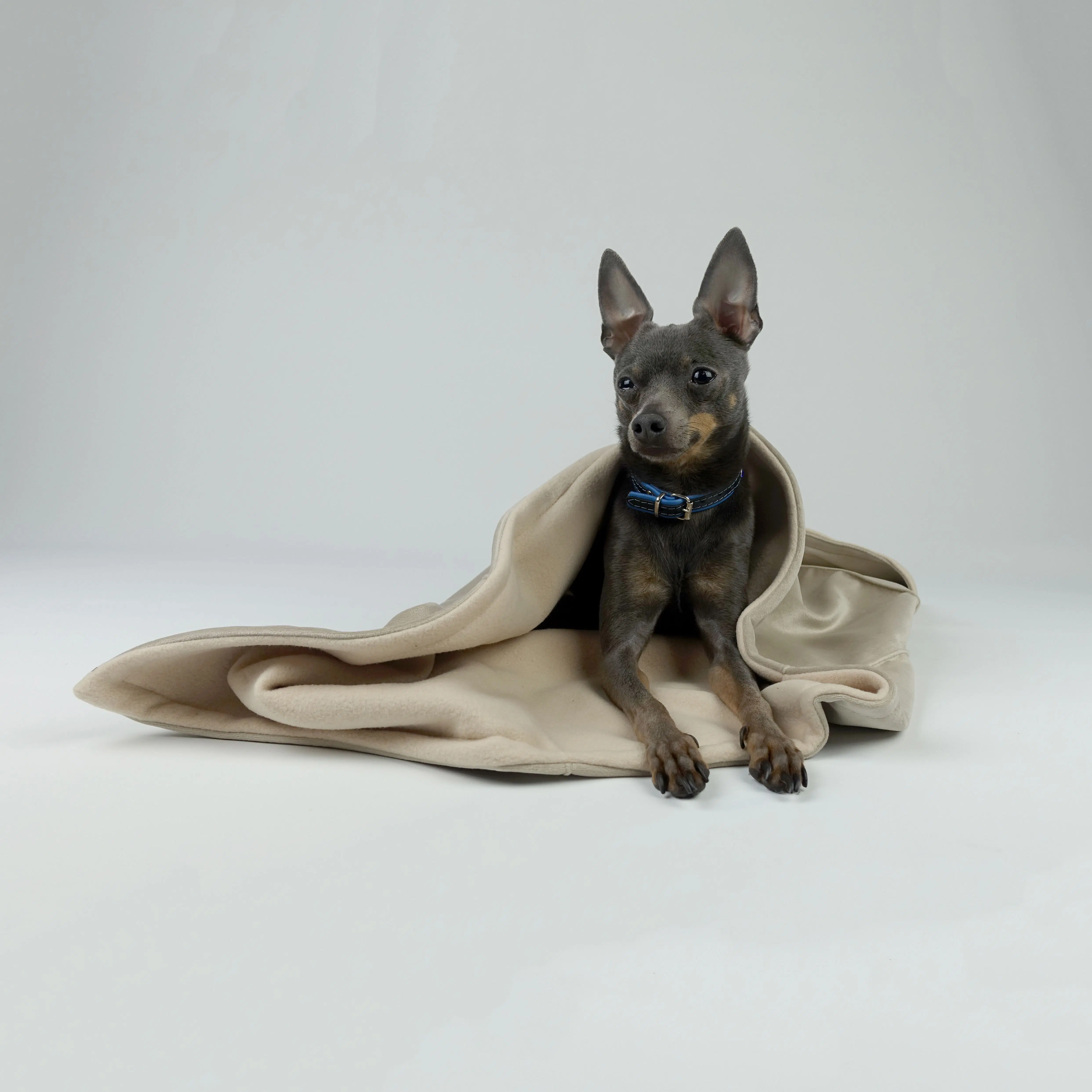 Handmade Hillfoot & Paws Luxury Dog Blanket - Beige