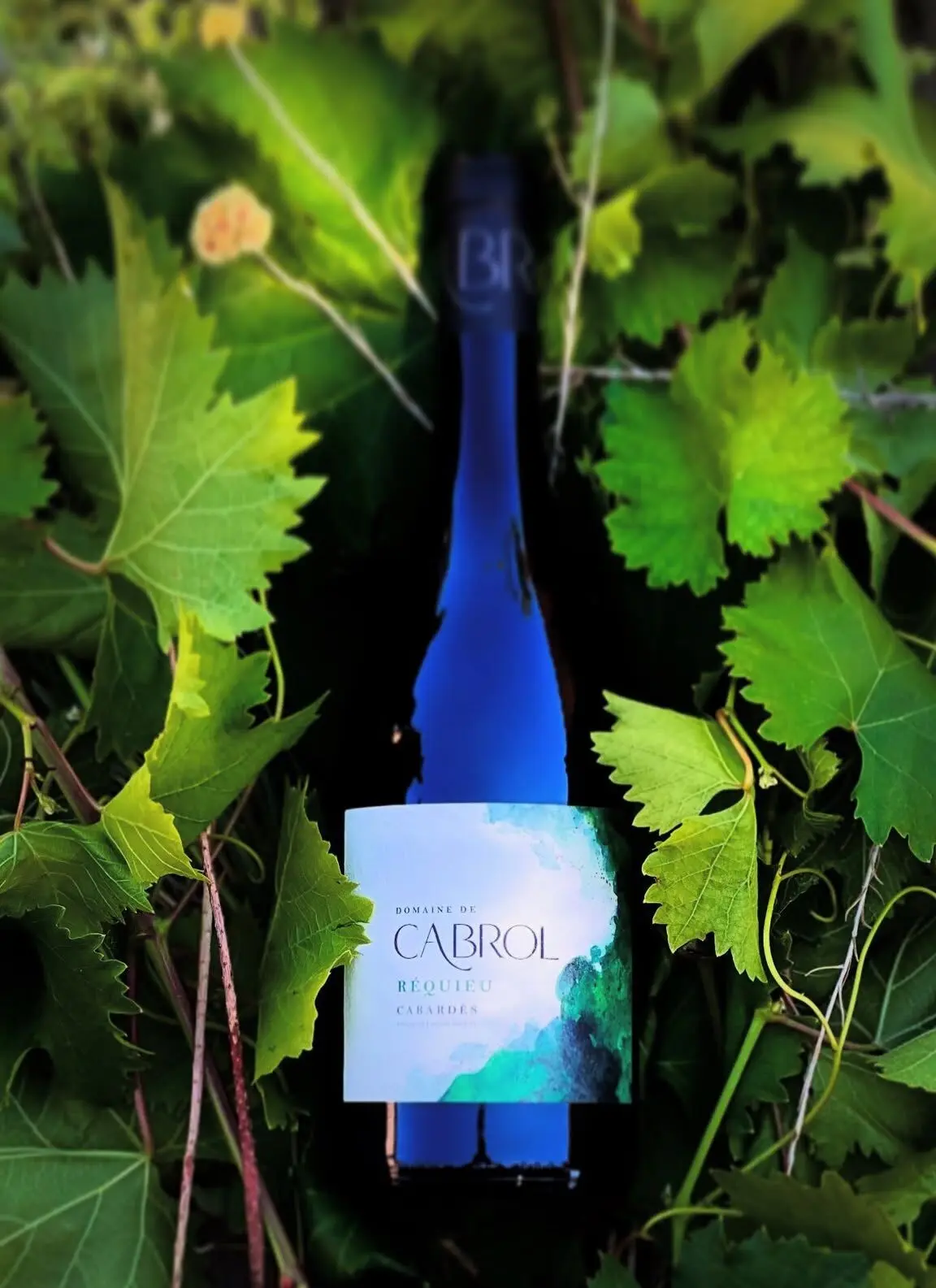 Vin rouge 75 cl - Cuvée Réquieu AOP Cabardès Languedoc