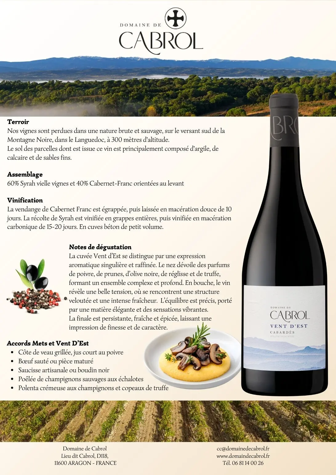 Vin Rouge 75cl - Cuvée Vent d'Est AOP Cabardès Languedoc