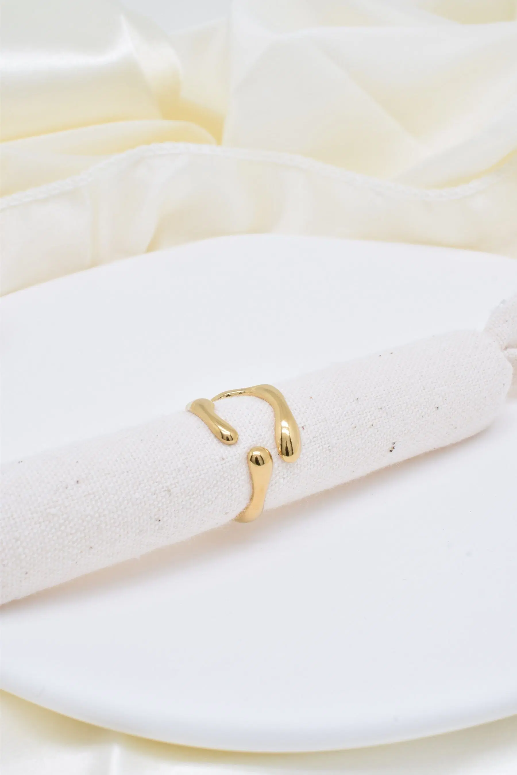 Stainless Steel Ring - BG310141