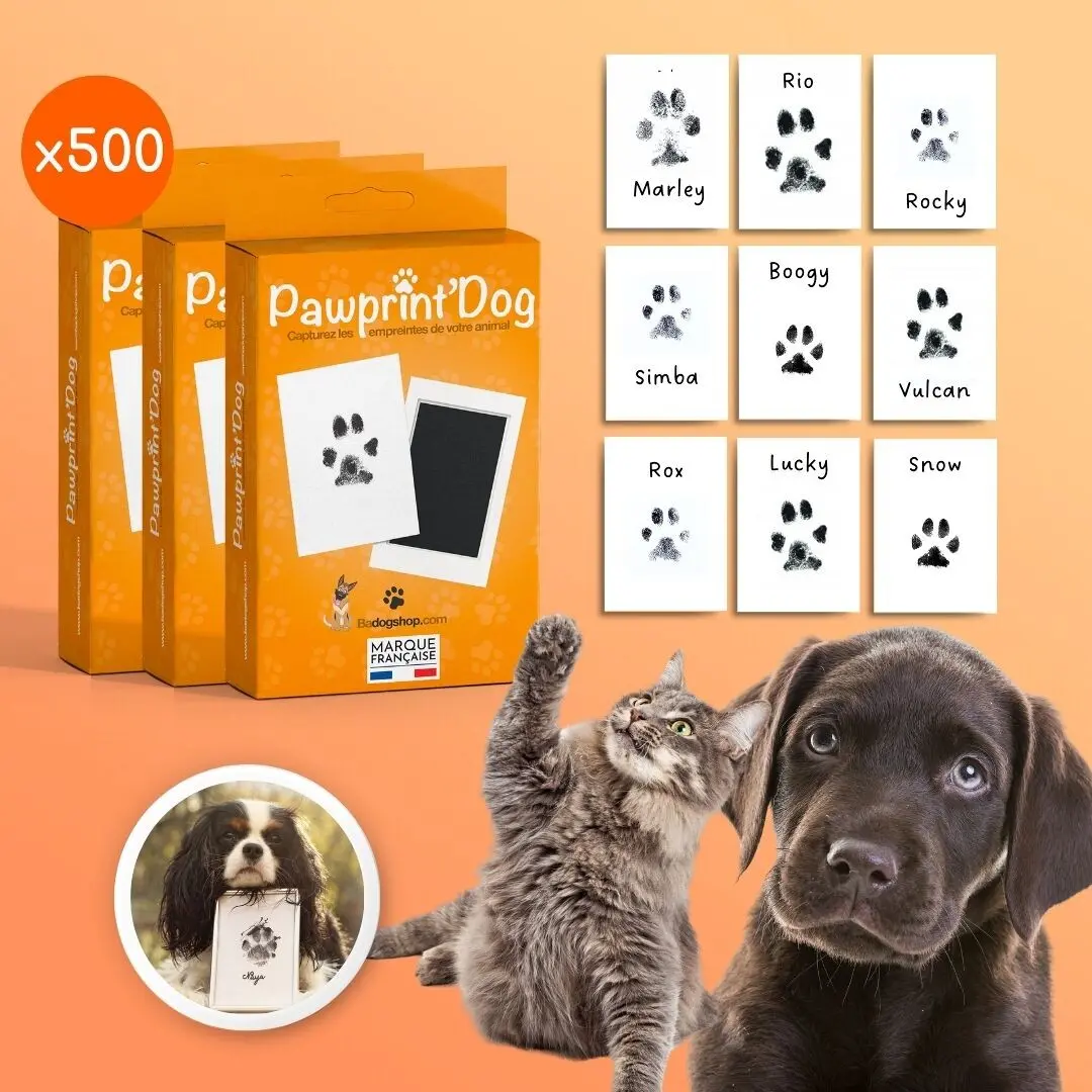500 Cat and Dog Print Kits