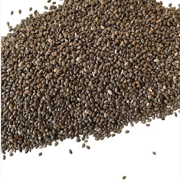 Bio Chiasamen 1kg