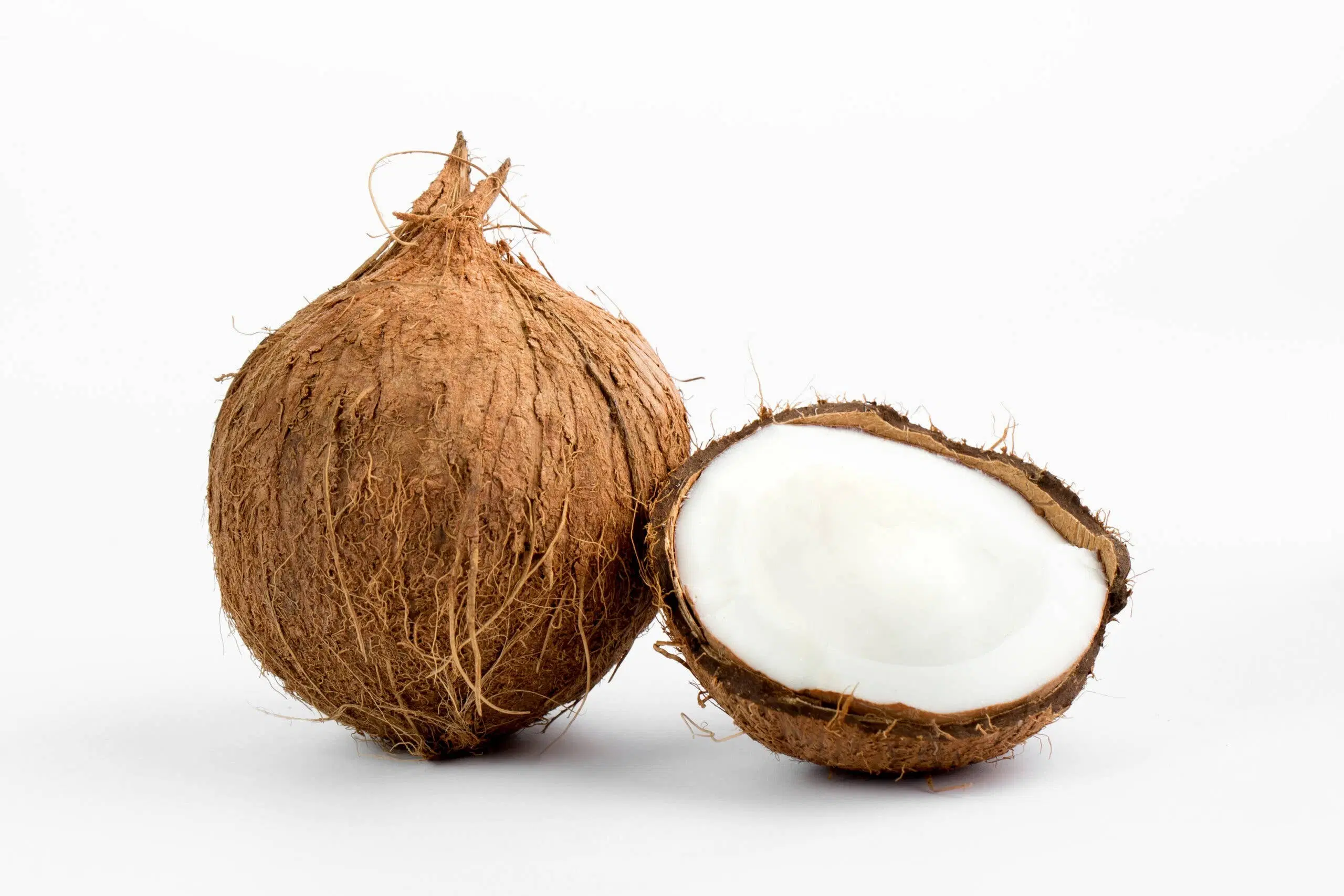 Feine Bio-Kokosraspeln 1 kg, ohne Sulfite und Konservierungsstoffe