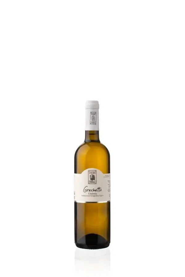 GRECHETTO UMBRIA IGT 2024