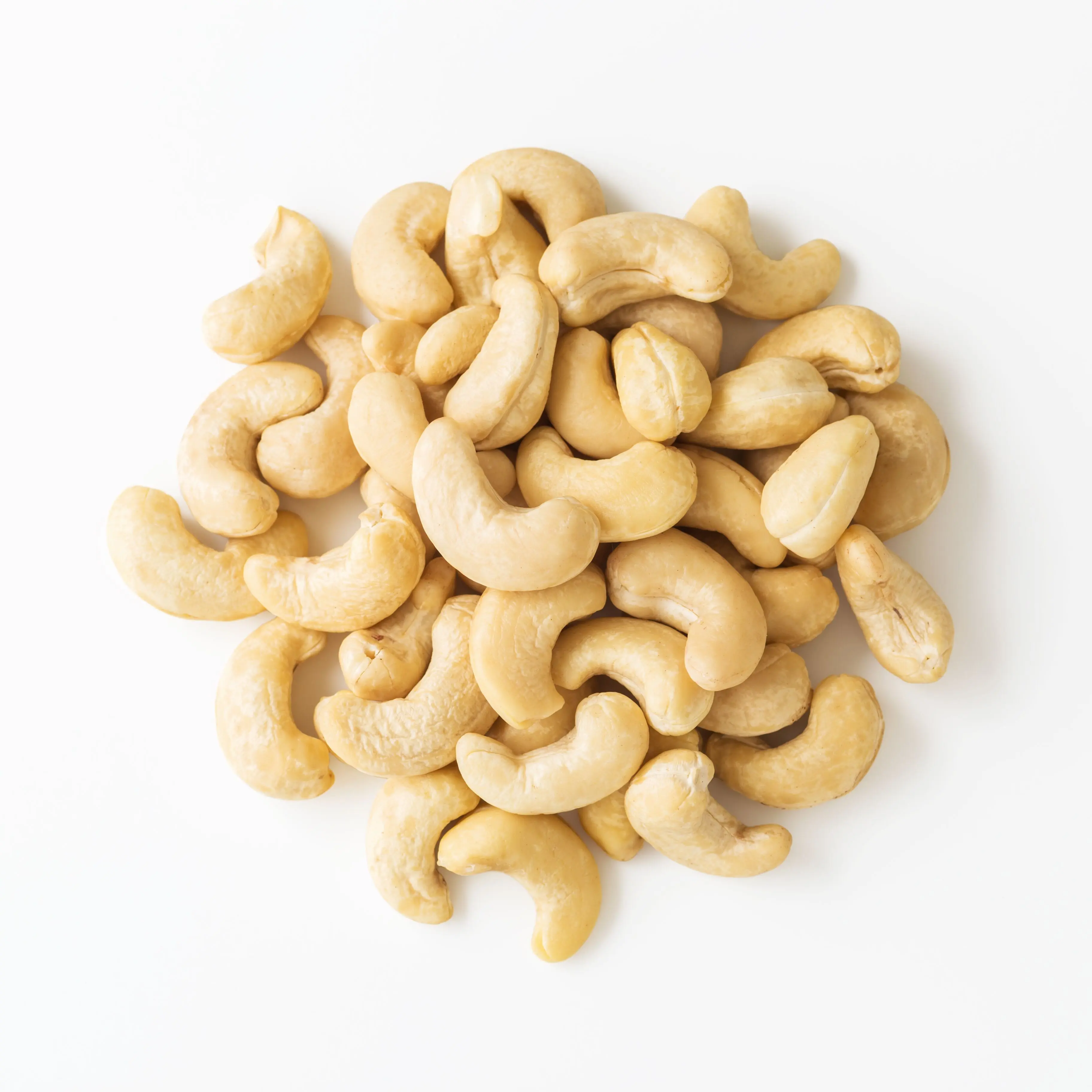 Trockenfrüchte: Bio Cashewnüsse natur 5 kg