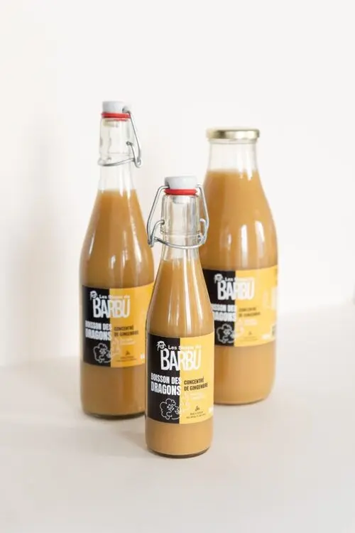Bio-Ingwerkonzentrat aus handwerklicher Produktion – La Boisson des Dragons – Hergestellt in der Bretagne mit Liebe und Überzeugung