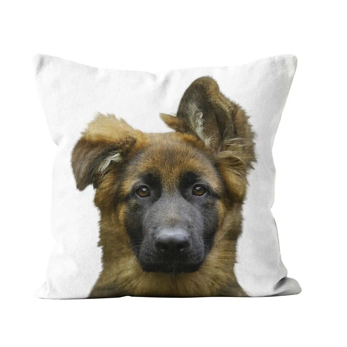 Decorative cushion dog white background German shepherd