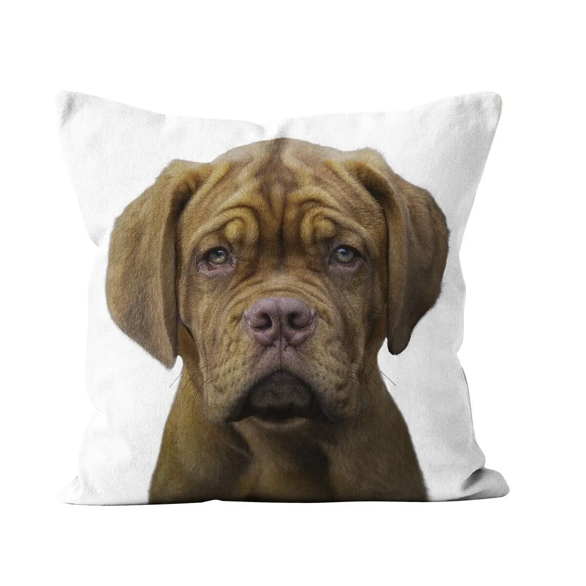Christmas gift idea Dog cushion