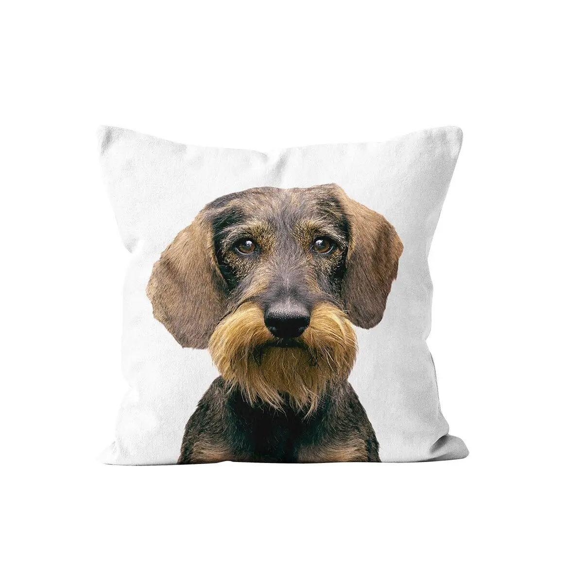 Velvet Dachshund Cushion