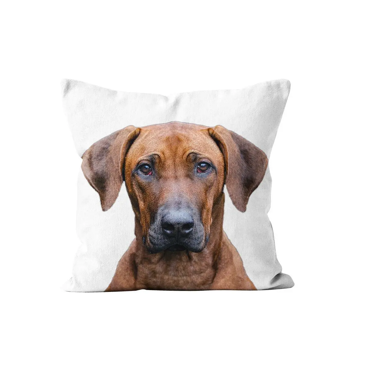 Velvet dog cushion gift idea